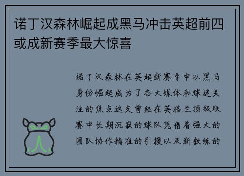诺丁汉森林崛起成黑马冲击英超前四或成新赛季最大惊喜